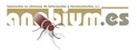 Anobium